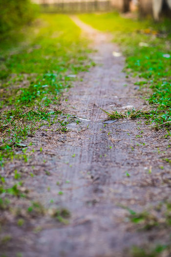 Surface level of dirt road on field