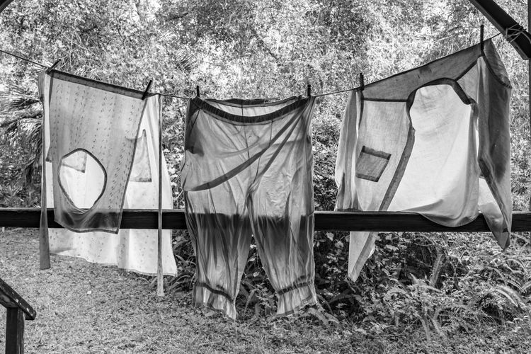 Clothes drying on clothesline at yard