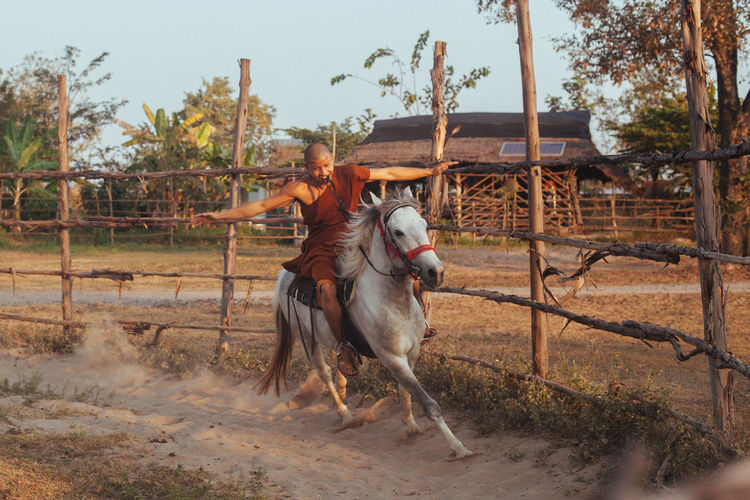 Young woman riding horse on field