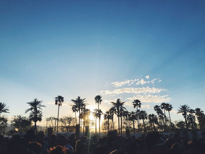 Silhouette palm trees with crowd against sky during sunset
