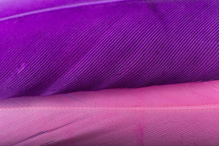 Full frame shot of pink paper