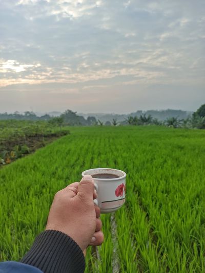 Hand holding tea cup on field