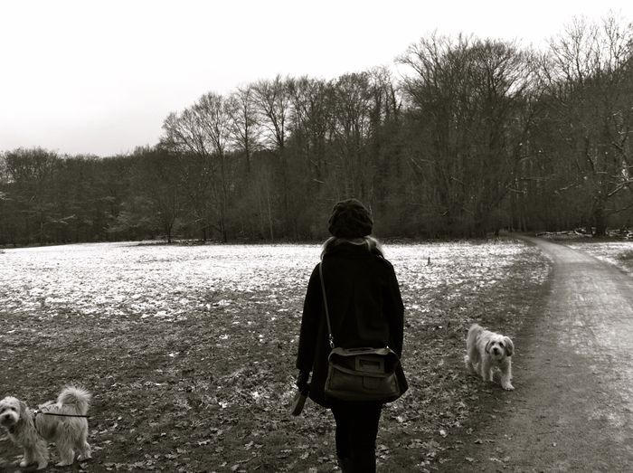 Rear view of woman with dog walking on road