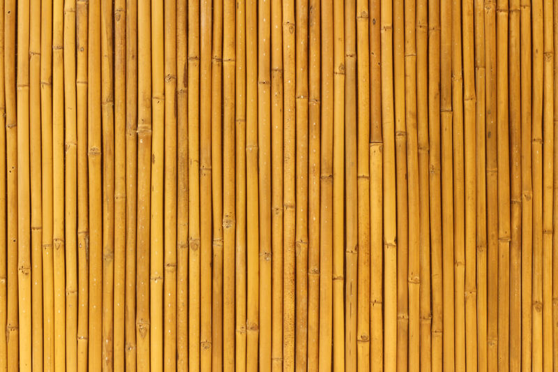 Natural bamboo wall