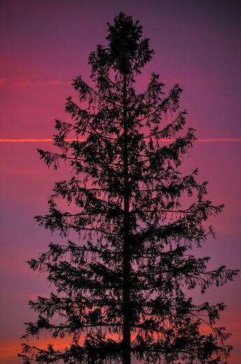 Low angle view of silhouette tree against sky during sunset