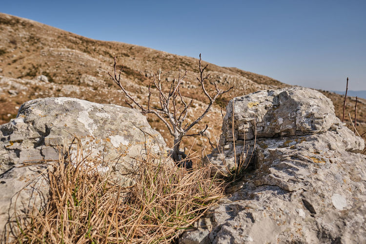 Rock formations on landscape against clear sky