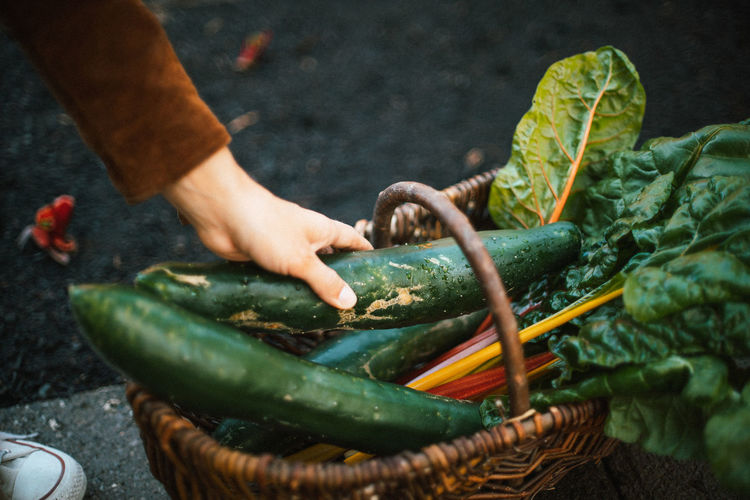 Cropped hand of woman holding vegetables in basket