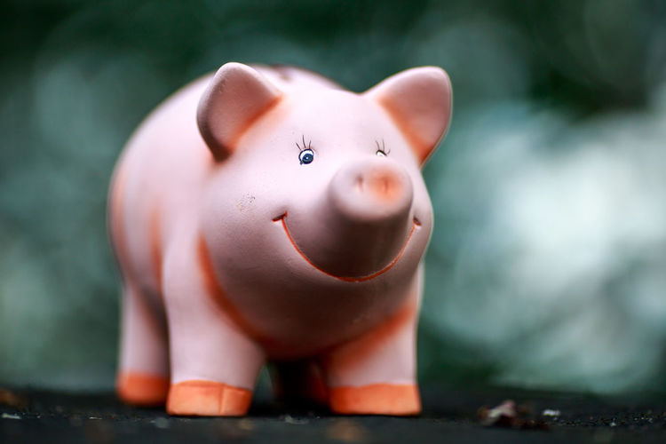 Close-up of piggy bank