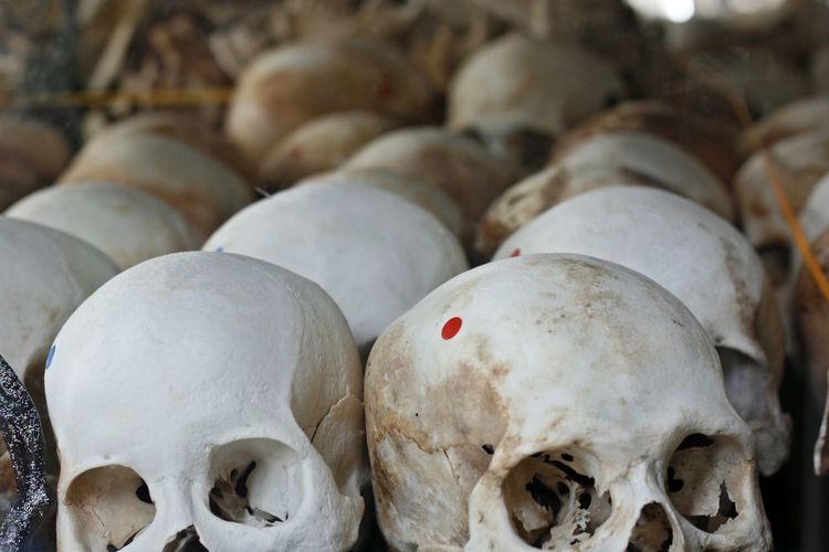 Close up of human skulls