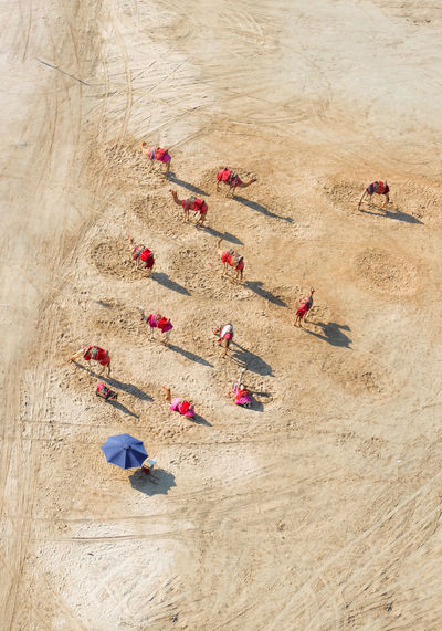 High angle view of sand on field