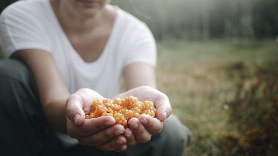 Close-up of woman holding fruits