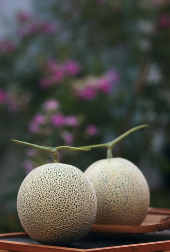Close-up of cantaloupes on table