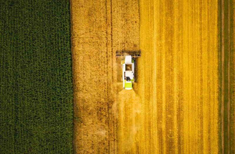 A modern combine harvester working on wheat field, aerial view