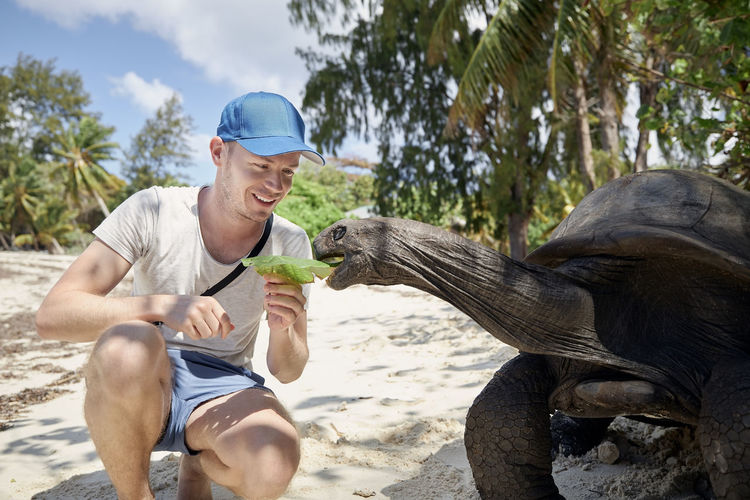 Happy traveler with aldabra giant tortoise on sand beach. turtle stretching its long neck for leaf.
