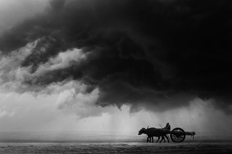 People riding buffalo cart in cloudy sky