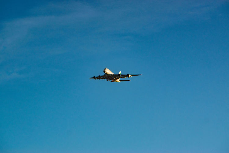 flying