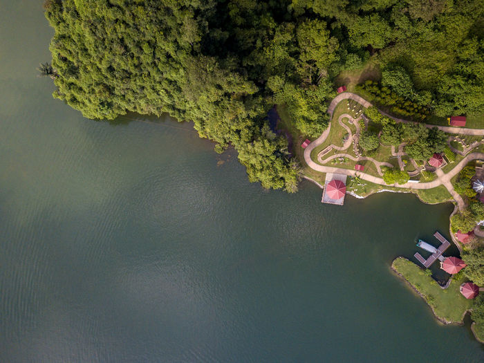 Aerial view of lake against trees
