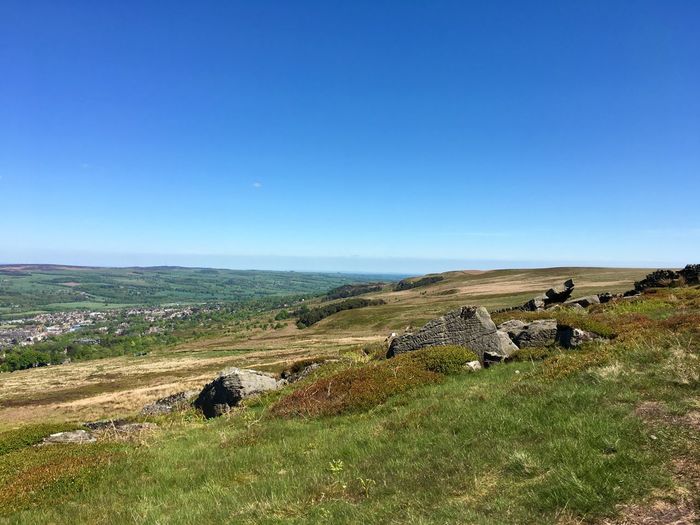Scenic view of field against clear blue sky