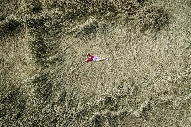 High angle view of person in grass