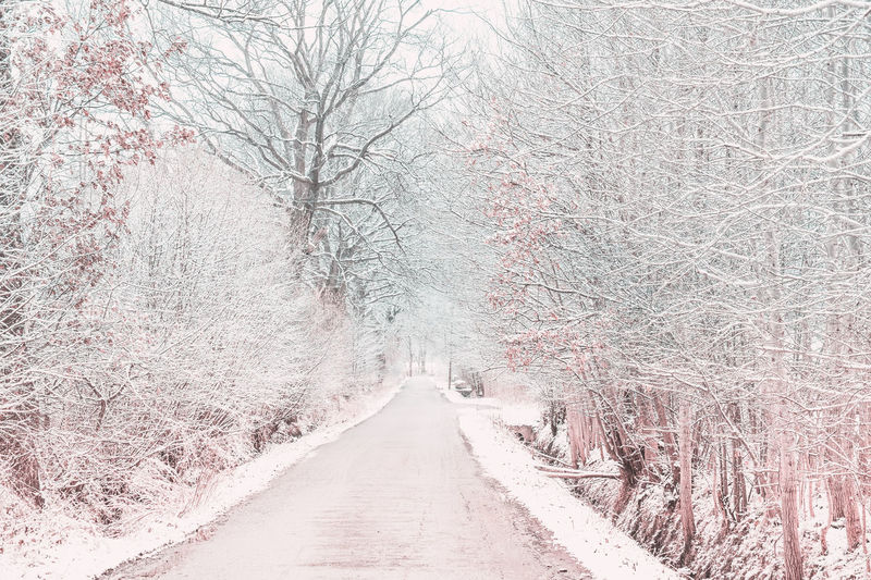 The winter road in suburb. blurred background. infrared toning