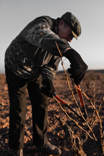Side view of mature male cutting dried twigs with sharp pruner while standing in agricultural field during work in countryside