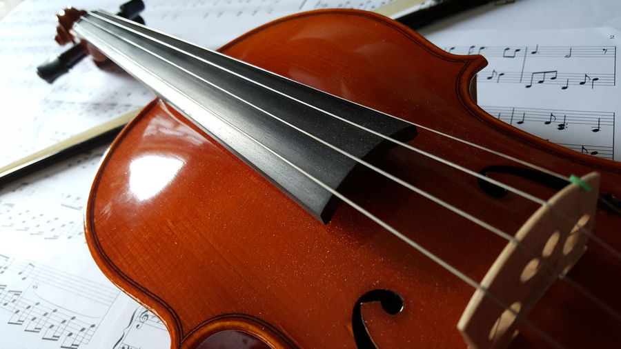 Close-up of violin