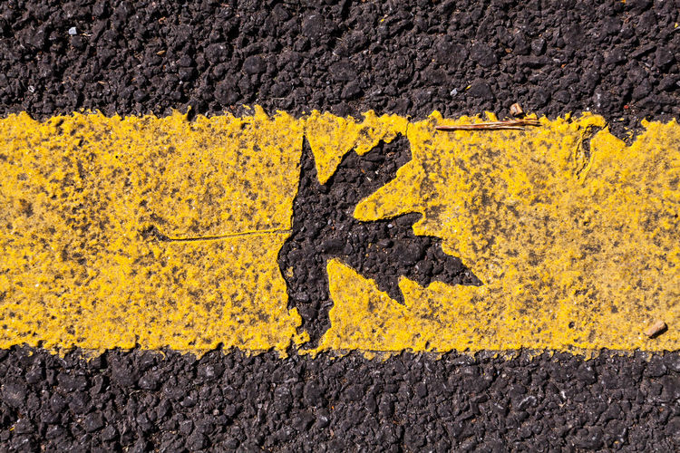 Close-up of yellow road marking