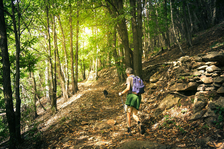 Man walking in mountain forest. male with backpack do hike in the nature. guy goes trekking outdoor