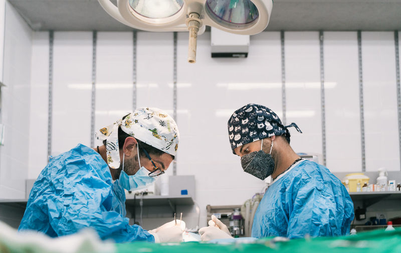 Professional competent vet surgeon with assistant in protective clothing and masks doing operation on animal patient in operating room with surgical lamp