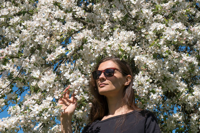 Portrait of young woman wearing sunglasses against white blossoms of apple tree