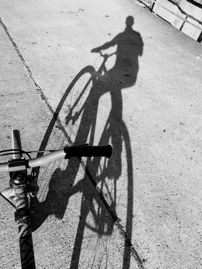 Shadow of person riding bicycle on road