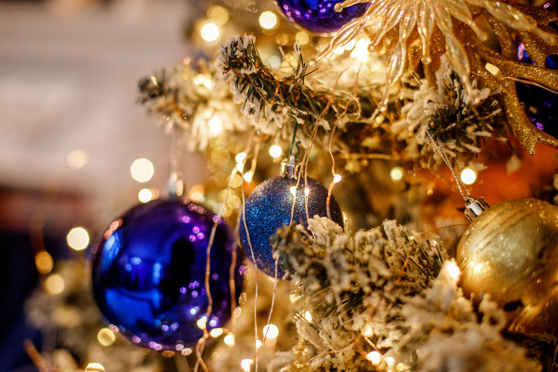 Close-up of illuminated christmas tree