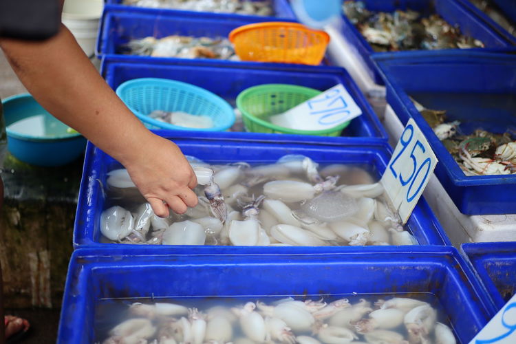 Cropped hands buying seafood at market stall