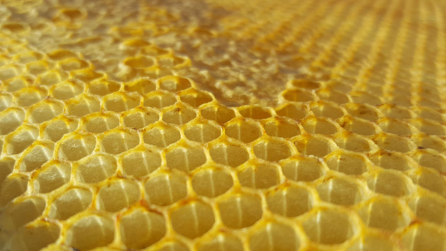 Full frame shot of honeycomb