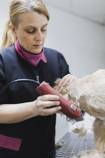 Professional veterinarian woman cutting fur of dog at table