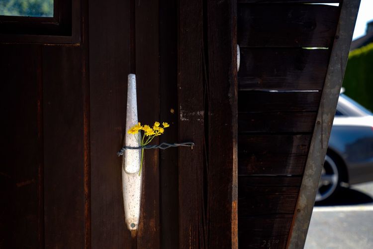 Close-up of yellow flower on wooden door
