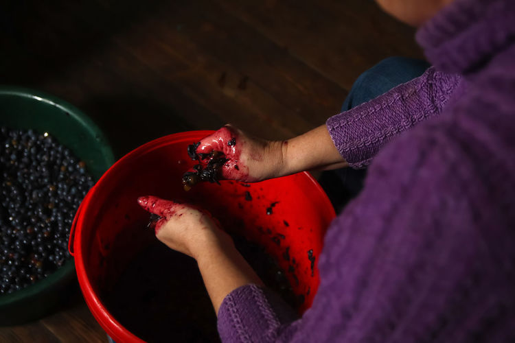 Woman making wine. female hands holding crushed grapes. wine-making process. harvest home. 