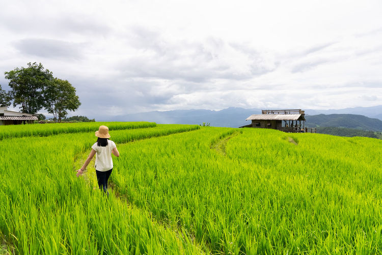 field