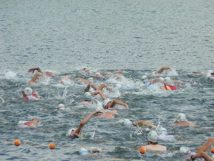High angle view of swimmers in sea