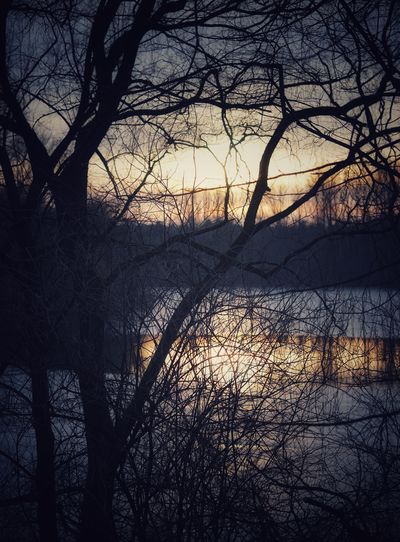 Silhouette bare tree by lake against sky during sunset