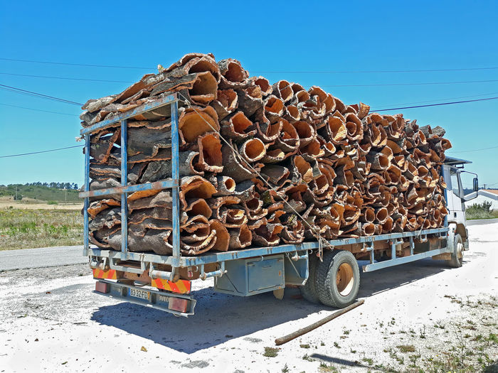 Stack of wood on truck against sky