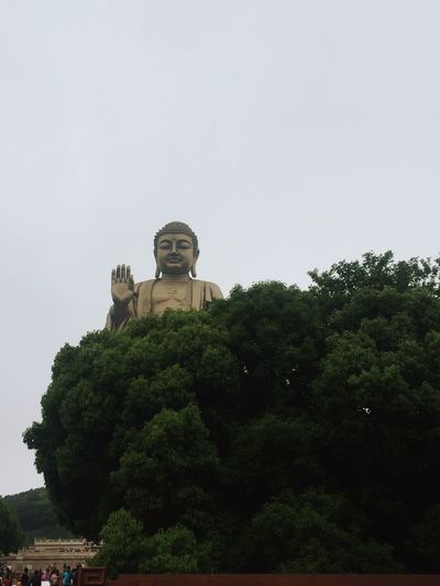 Statue by trees against clear sky