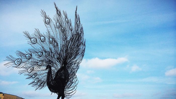 Peacock representation against blue sky