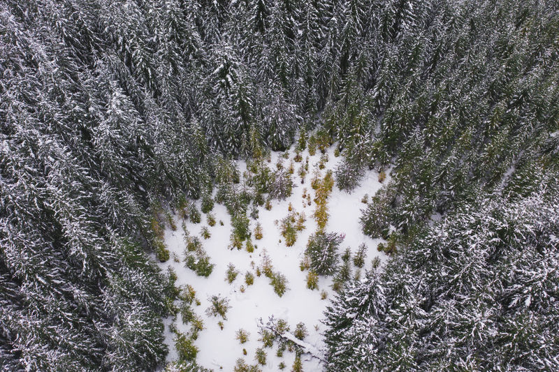 High angle view of snow covered field during winter