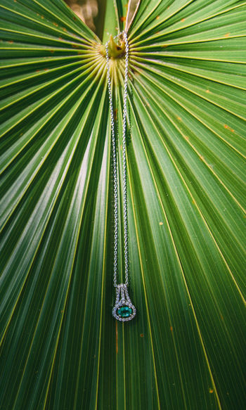 Full frame shot of palm leaves and jewelry 