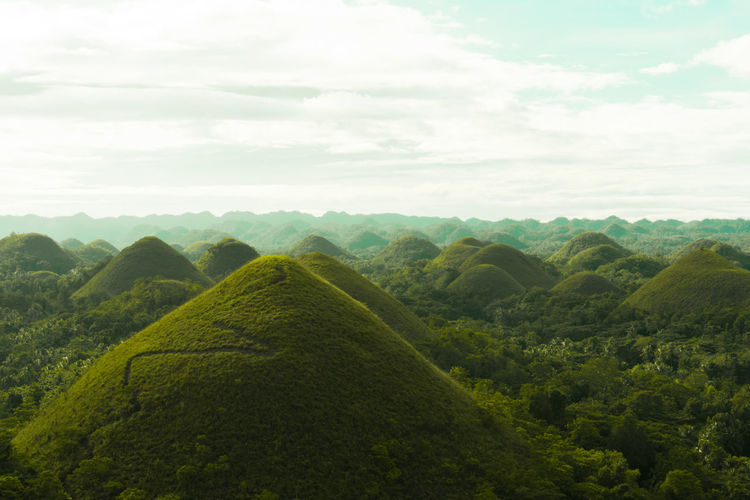 Chocolate hills during spring