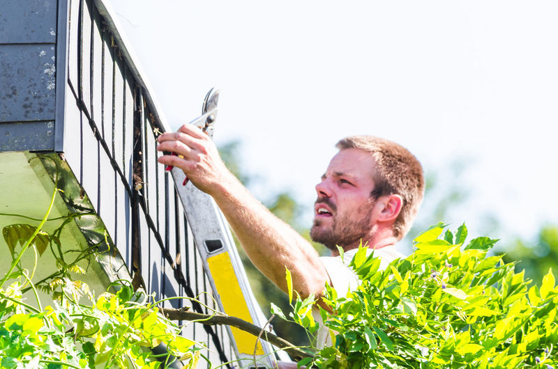 Man trimming plants at back yard