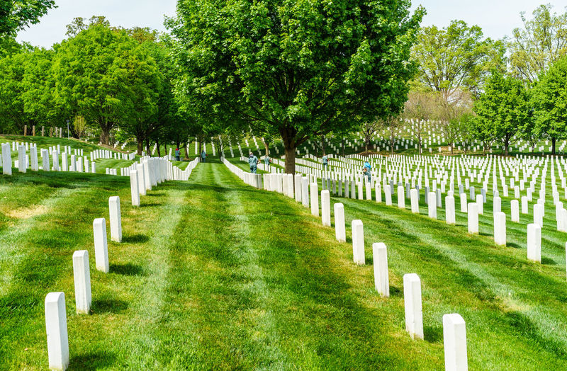 Tombstones at arlington national cemetery