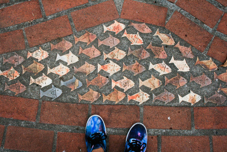 Low section of person standing by fish shape tiles on footpath