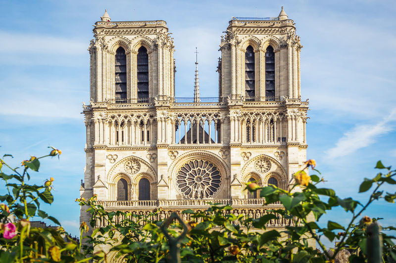 The beautiful notre dame of paris cathedral during a beautiful sunny summer day in france